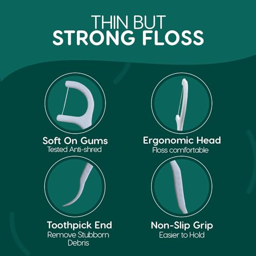 VICJIA Dental Floss Stick and Toothbrush, Portable Dental Floss Box, Home Pack of 500 Dental Floss Sticks (Pack of 500)