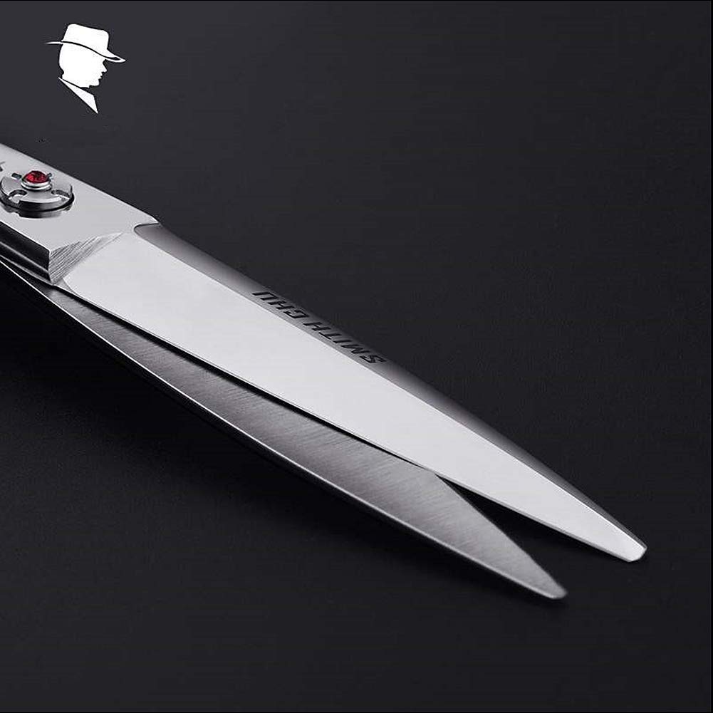 Professional Hair Cutting Scissors Japan 440C Steel Baby Salon Hair Shears Hairdressing Scissor for Hairstylist (6.0 inch)