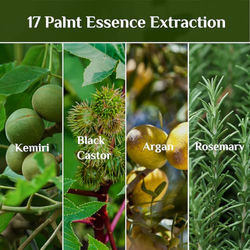 Bali Aga Kemiri Oil: Strengthening, Nourishing Hair and Scalp with Split End Treatment