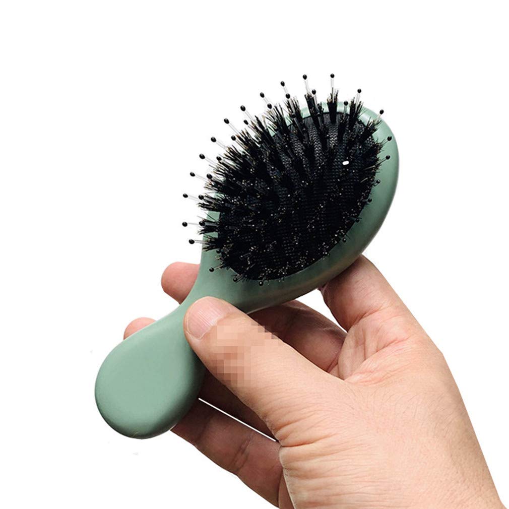 Boar Bristle Hair Brush - Sinide Mini Natural Beech Wood Handle Cushion Massage Detangling Hair Brush for Women Men Long Thick Fine Curly Wavy Dry or Wet Hair, Brush for Pocket/Travel