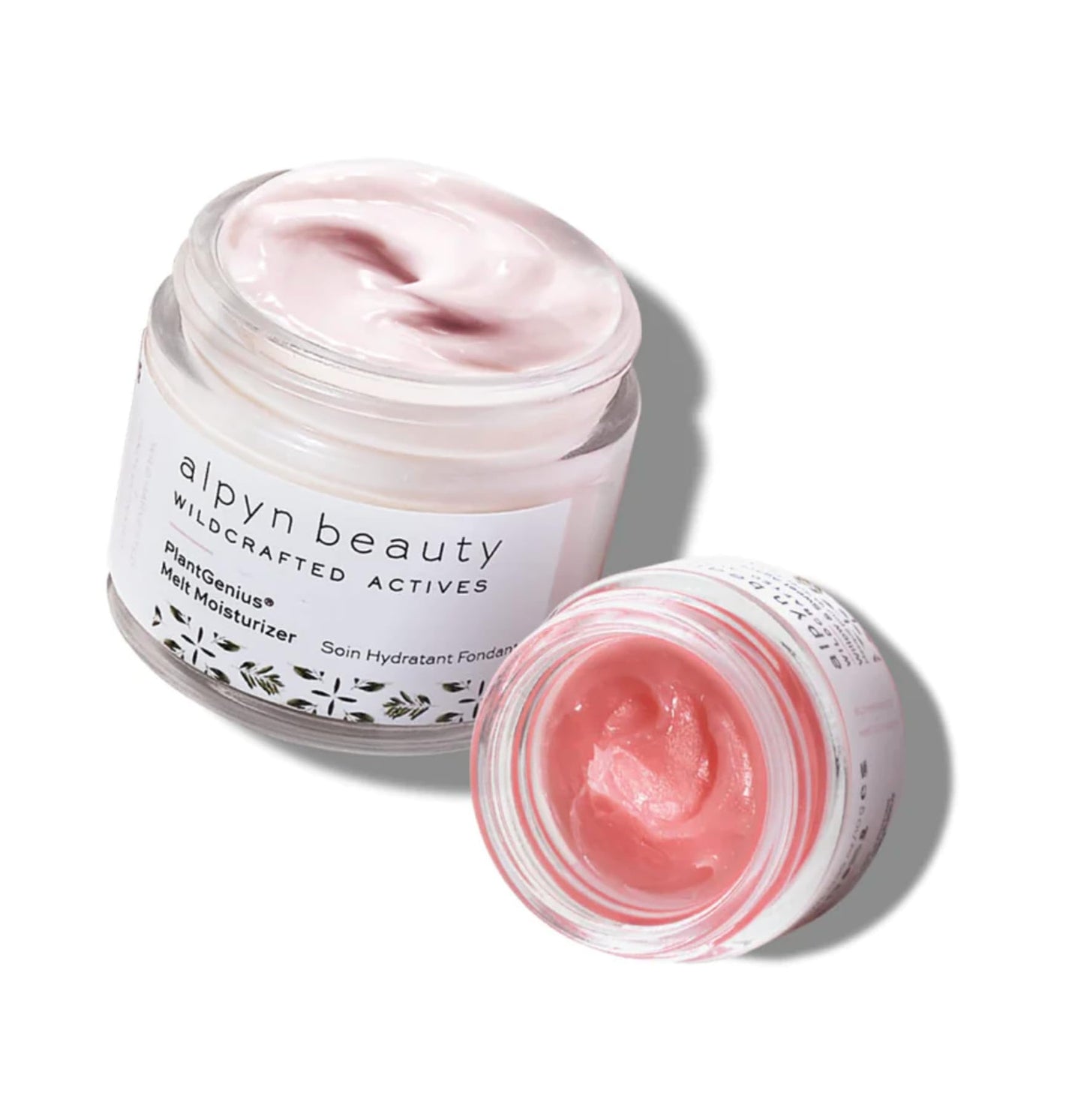 Alpyn Skin + Lip Rescue Set | PlantGenius Melt Moisturizer | Willow & Sweet Agave Plumping Lip Mask