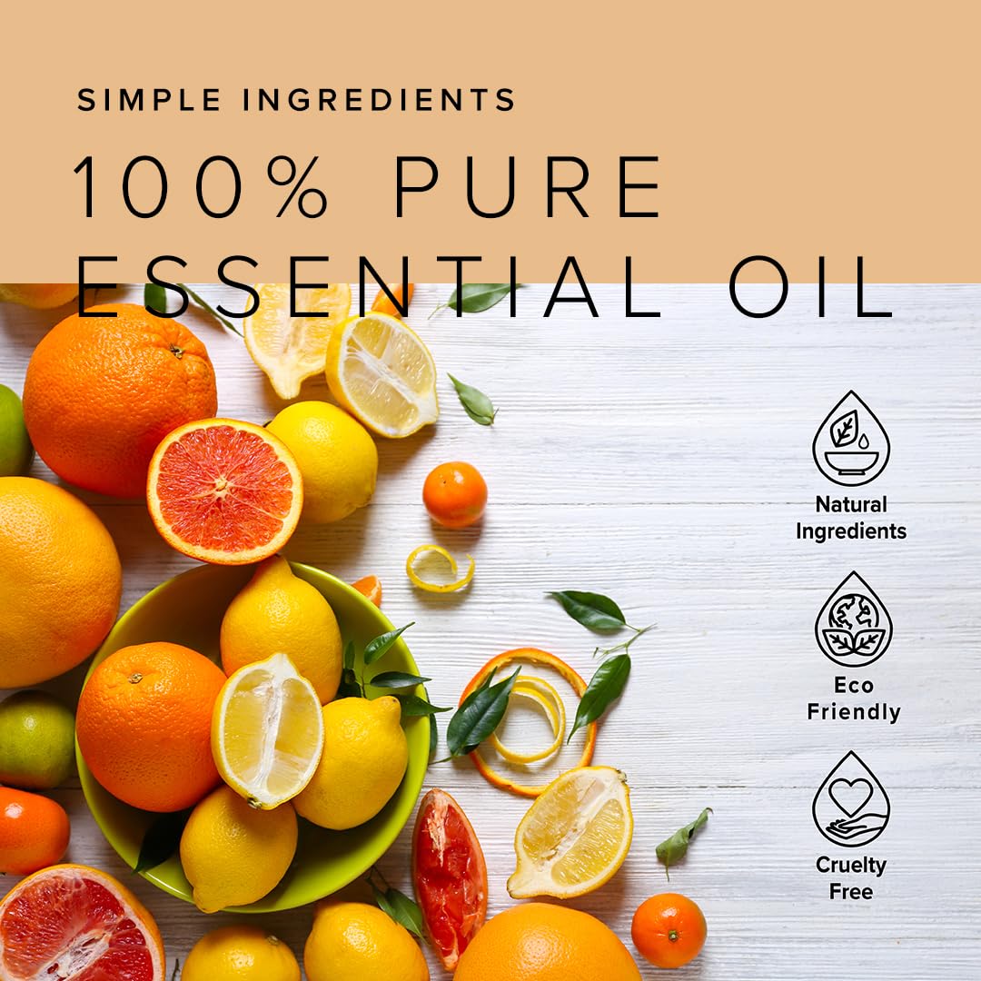 BOOTLEG BATH Shower Steamers Aromatherapy 45 Pack, 100% Pure Essential Oil, Multi Pack - Eucalyptus, Lavender, Citrus - All Natural, for Men and Women, Made in USA