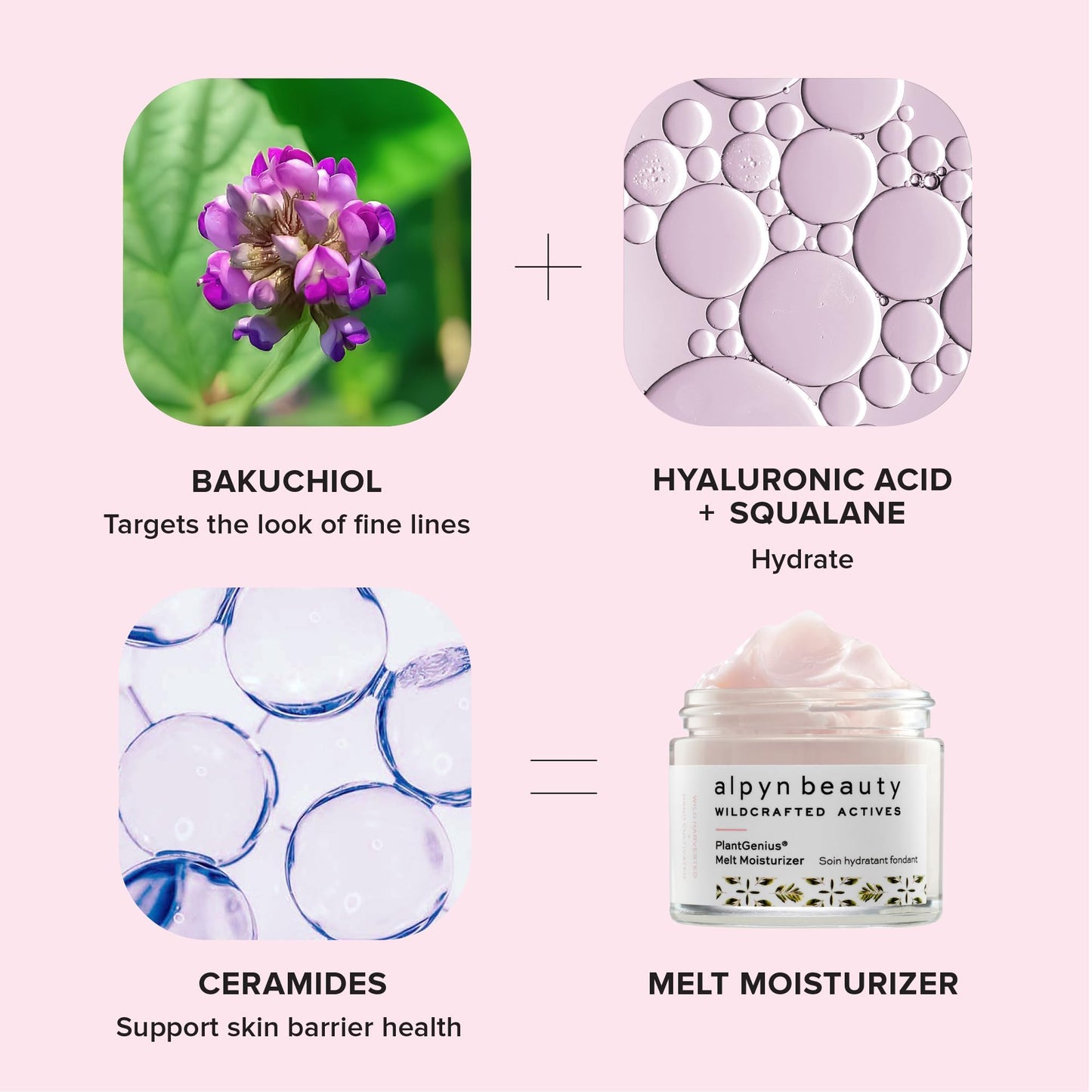 Alpyn Skin + Lip Rescue Set | PlantGenius Melt Moisturizer | Willow & Sweet Agave Plumping Lip Mask