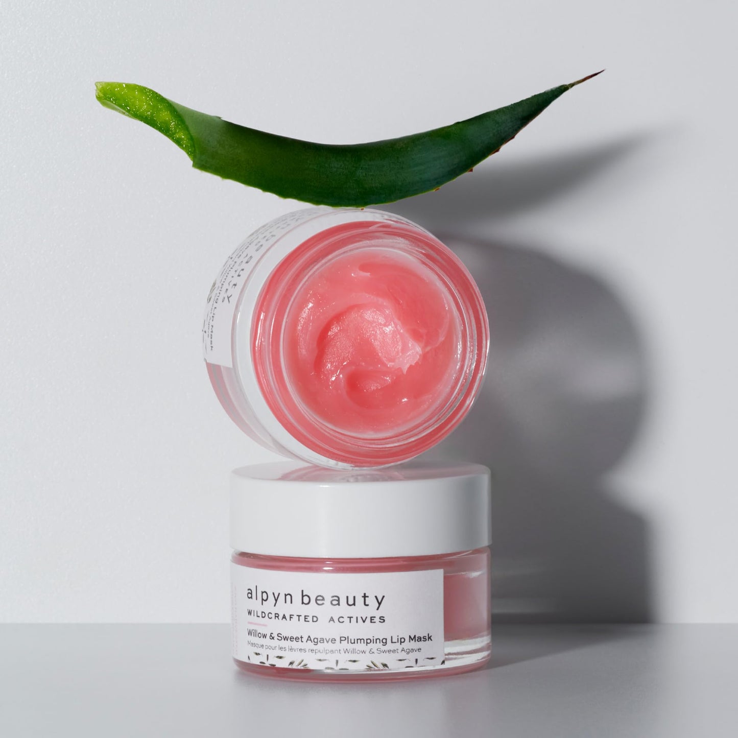 Alpyn Skin + Lip Rescue Set | PlantGenius Melt Moisturizer | Willow & Sweet Agave Plumping Lip Mask