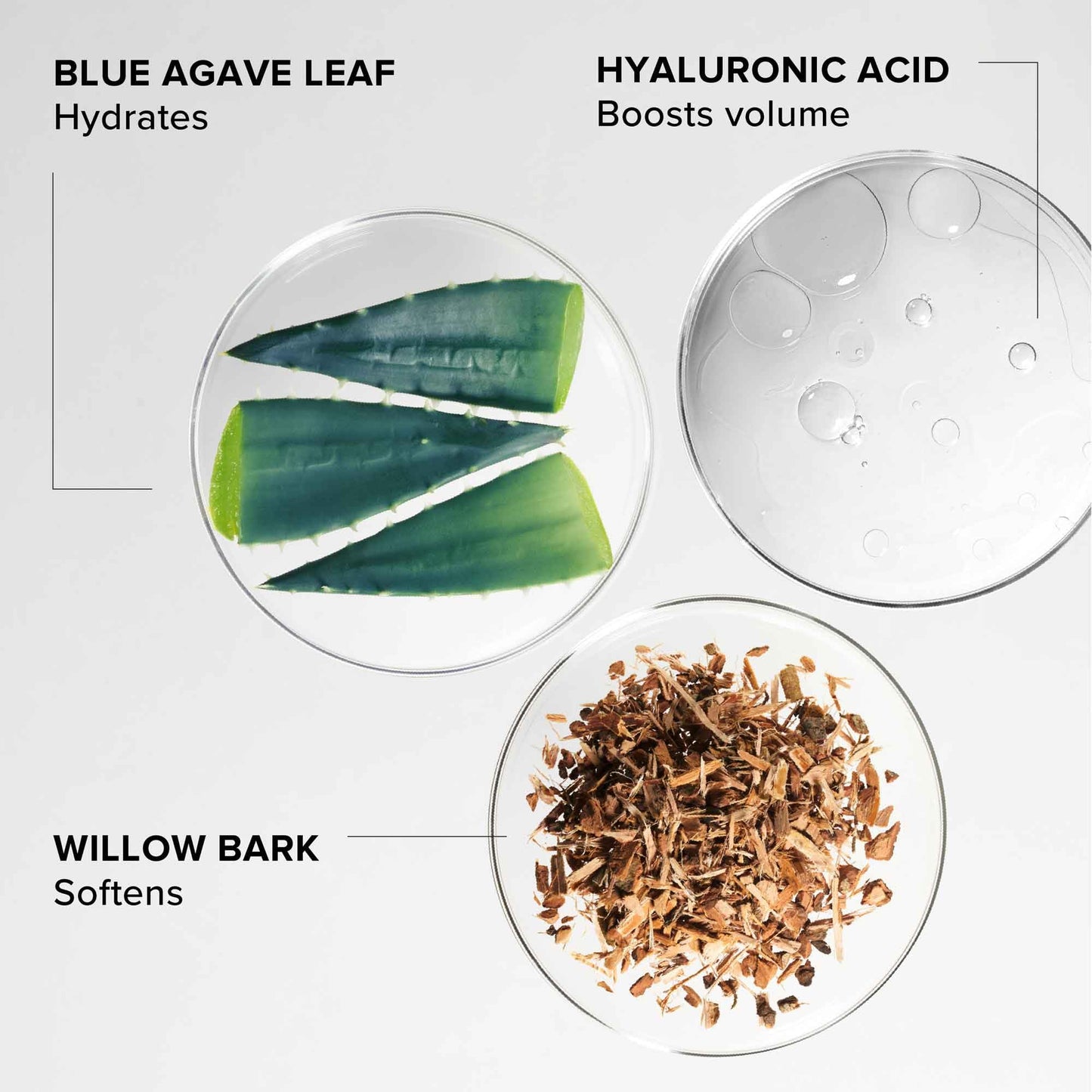 Alpyn Skin + Lip Rescue Set | PlantGenius Melt Moisturizer | Willow & Sweet Agave Plumping Lip Mask