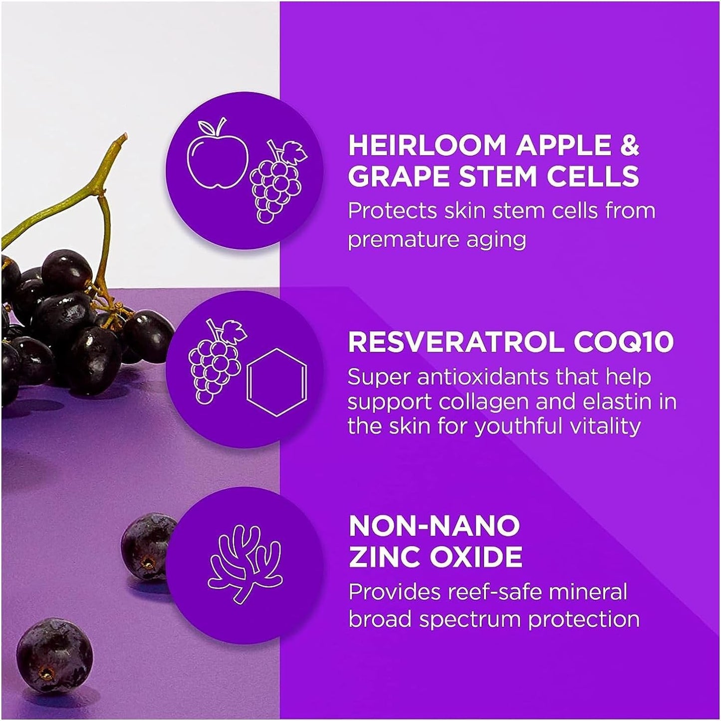 Andalou Naturals Perfecting BB Beauty Balm Natural Tinted Moisturizer with SPF 30, 2-in-1 BB Cream & Face Sunscreen with Broad Spectrum Protection, Mineral Sunscreen with Non-Nano Zinc Oxide, 2 Fl Oz