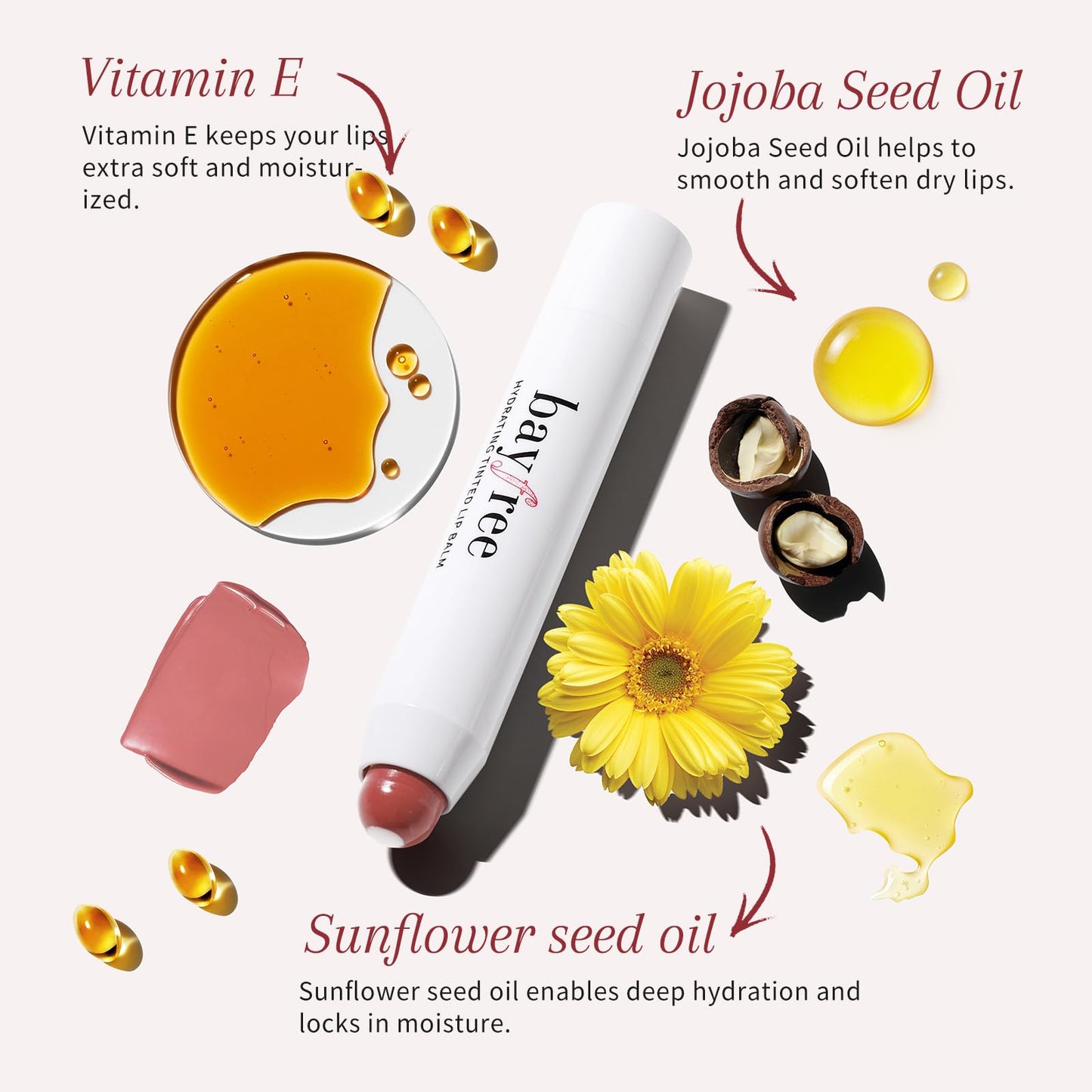 bayfree Tinted Lip Balm Plumper, Glossy, Pump Lips, Lightweight, Moisturize & Tint with Jojoba Seed Oil, Vegan Lip Balm Lip Care Present, Garden