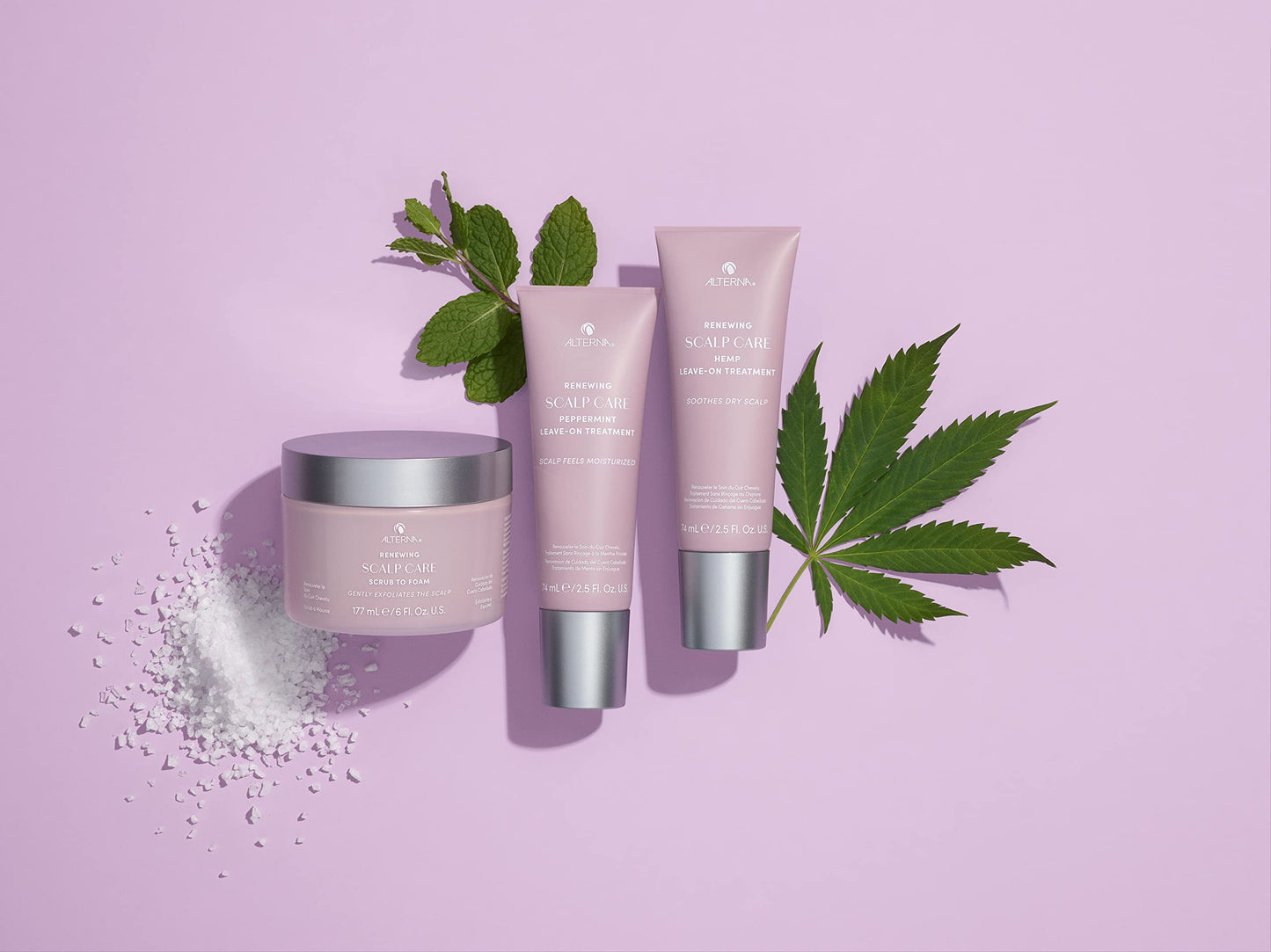 Alterna Renewing Scalp Care Scrub to Foam Scalp Scrub and Hemp Treatment Soothing Scalp Regimen Set | Moisturize, Calm & Soothe Scalp | Vegan