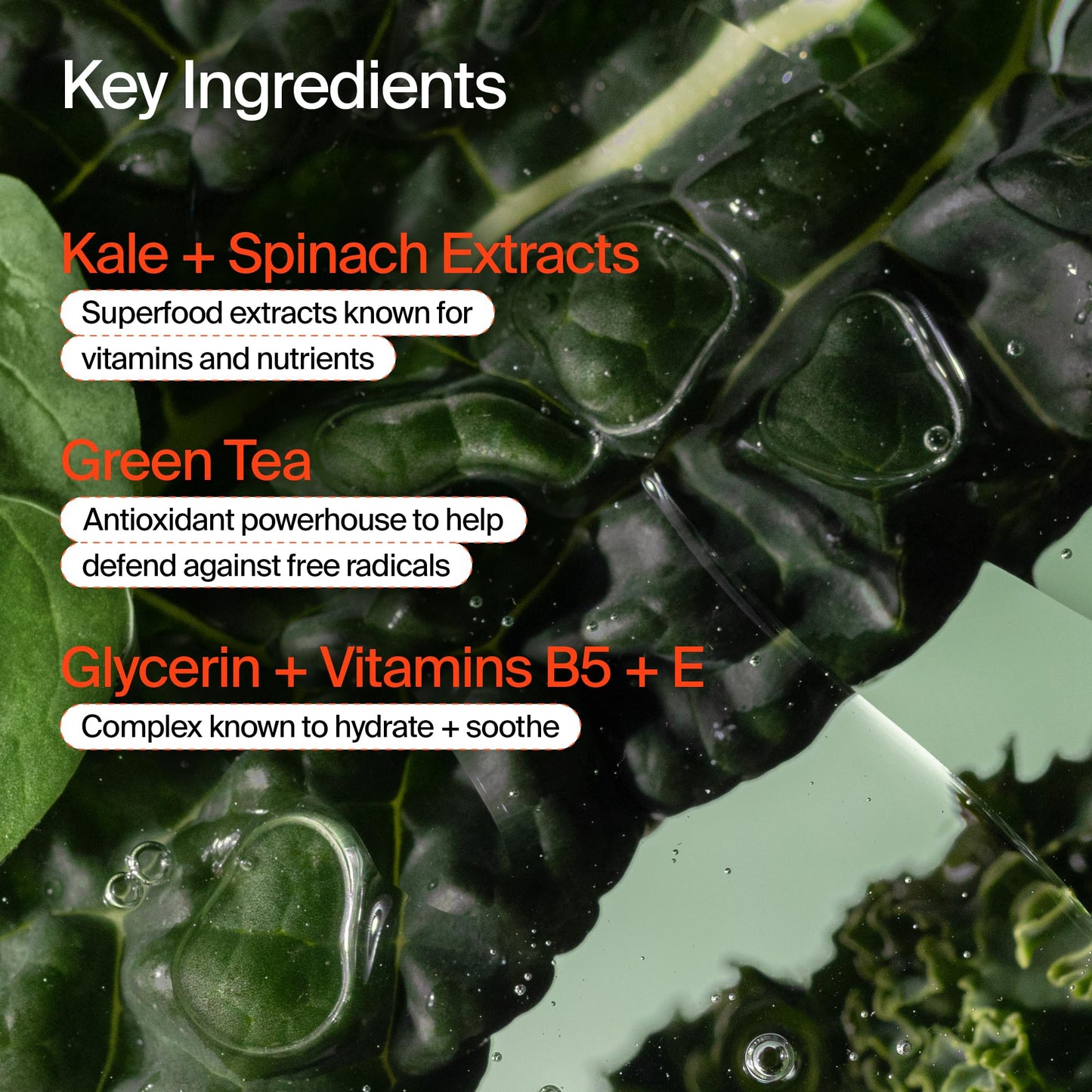 Youth To The People Facial Cleanser - Kale and Green Tea Cleanser - Gentle Face Wash, Makeup Remover + Pore Minimizer for All Skin Types - Vegan (8oz)