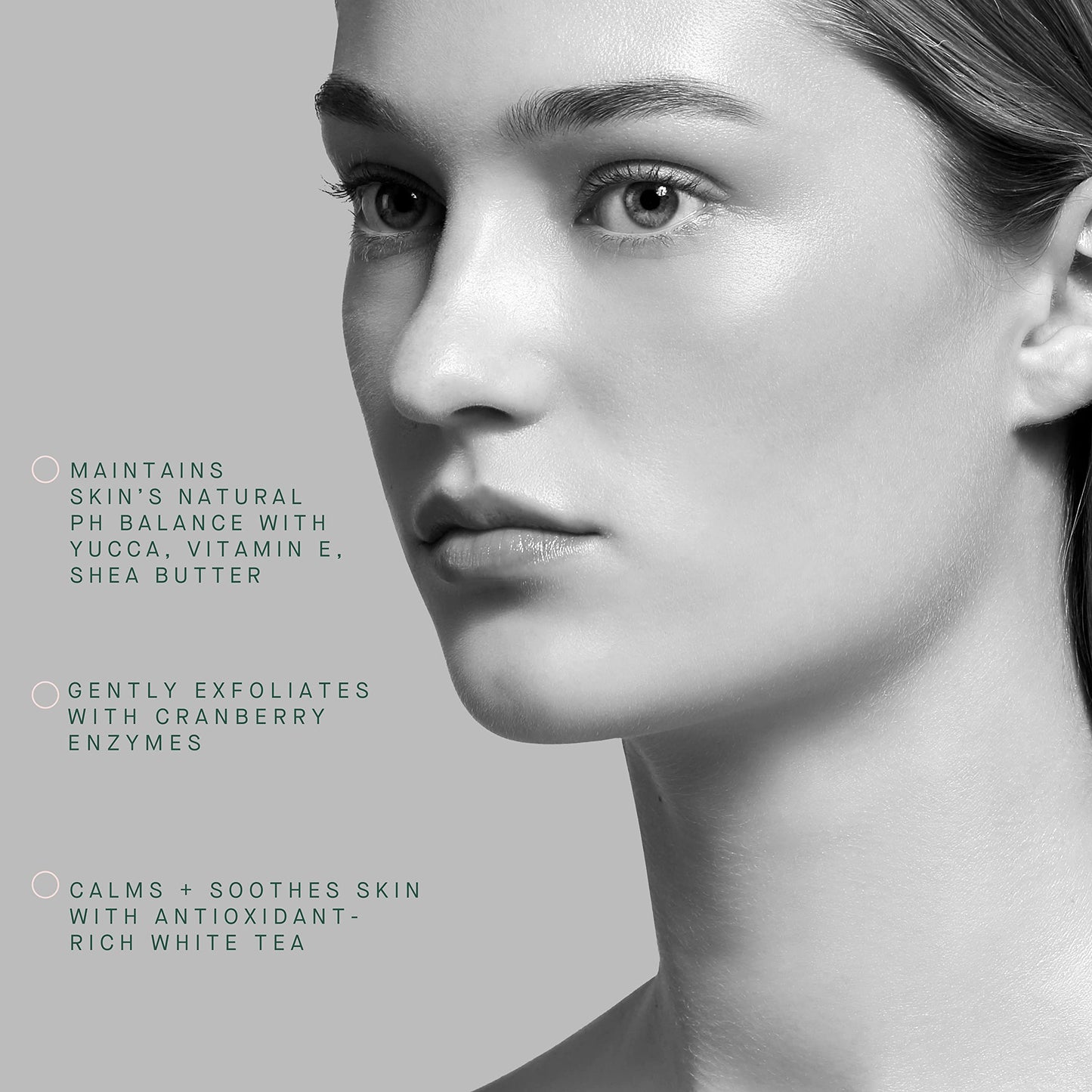 ARCONA Cranberry Toner White Tea Purifying Cleanser - Full Size Value Set