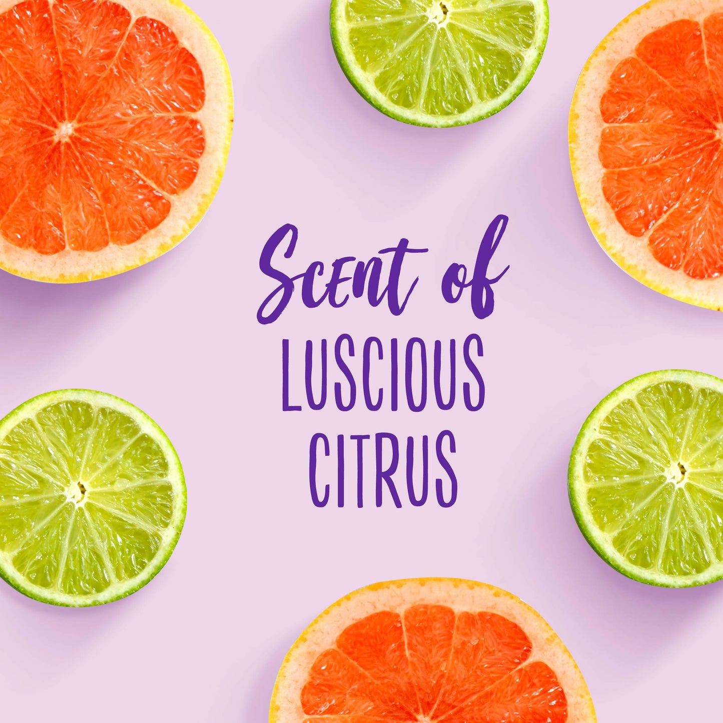 Aussie For Dry Hair Paraben-Free Miracle Moist Conditioner With Avocado & Jojoba, 30.4 Fluid Ounce, 4 Count