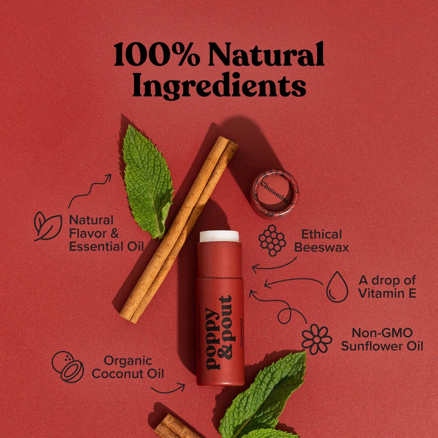 Poppy & Pout Cinnamint Jumbo Lip Balm | All Natural Lip Balms & Moisturizers | Hydrates with Beeswax, Vitamin E, Organic Coconut Oil | Cruelty-Free | Lip Balm in Recyclable Cardboard Tube