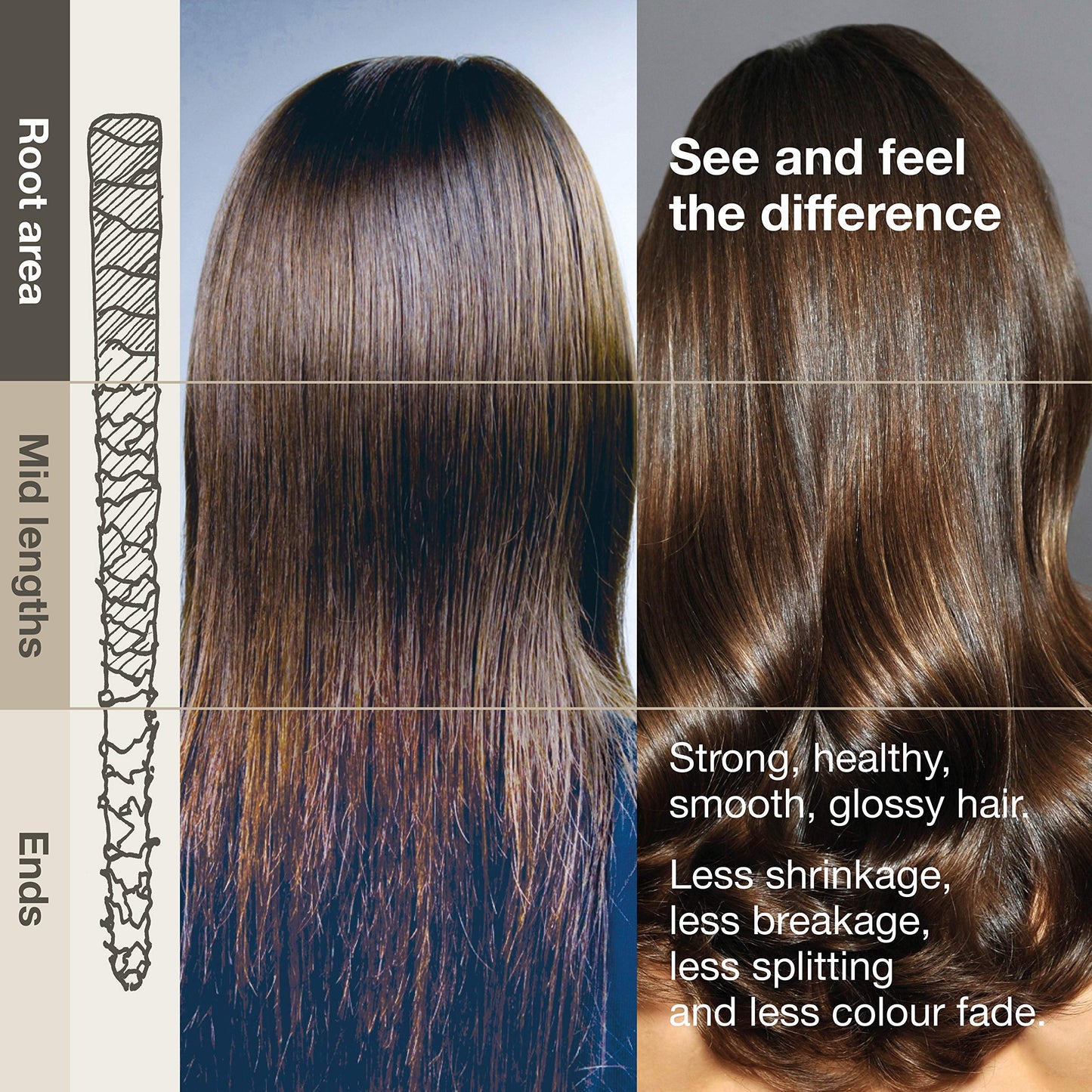 3'''More Inches Cashmere Protein Volumizing Conditioner 1000ml - Fine, Thin Hair Treatment - For Thicker, Fuller & Root Lifting Results - Coconut Oil, Silicone Free - Hair Care by Michael Van Clarke