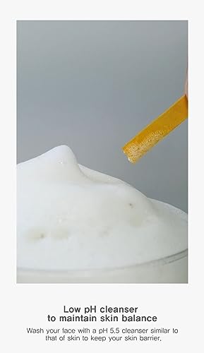 B_LAB Matcha Hydrating Foam Cleanser 120ml