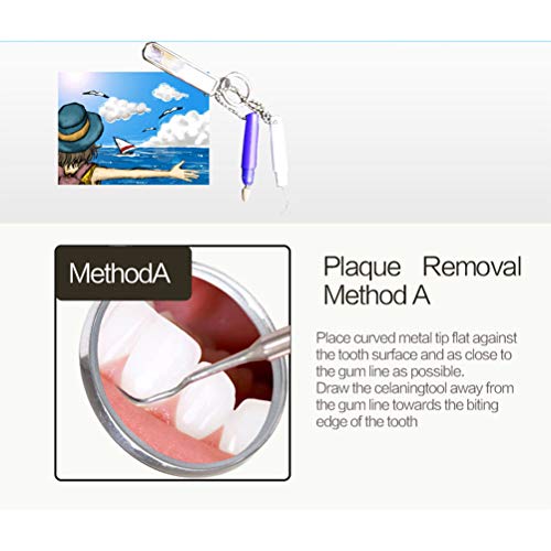 2pcs Portable Oral Dental Tooth Hook Hygeine Cleaning Molars Tool Teeth Stains Remover Plaque Remover