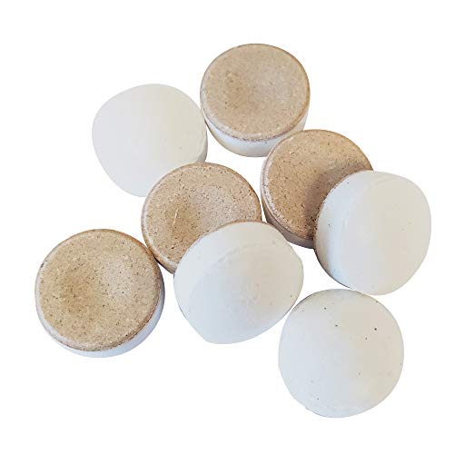 OraCoat XyliMelts Dry Mouth Relief Moisturizing Oral Adhering Discs 100 Count, Mild Mint with Xylitol, for Dry Mouth, Stimulates Saliva, Non-Acidic