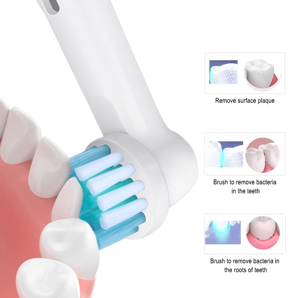 Toothbrush Replacement Heads Refills for Oral B - Precision Clean Brush Head for Gentle & Effective Cleaning and Optimal Dental Care, by DeBizz (16)