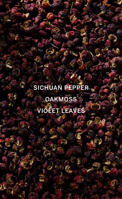 Victoria's Secret VS Him Platinum 1.7oz Cologne & Lotion Set