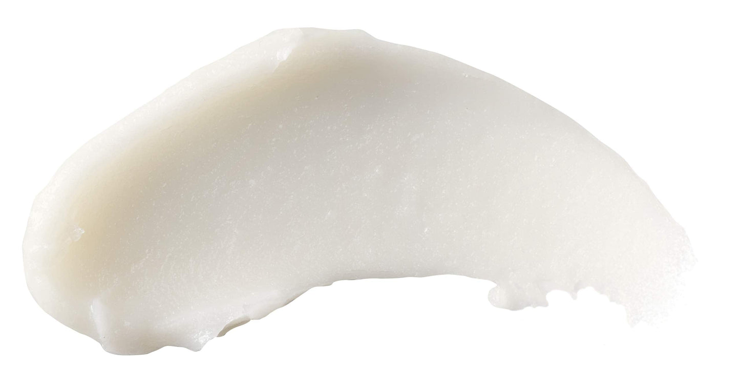 Burts Bees Orange Blossom and Pistachio Lip Butter Lip Balm Unisex 0.4 oz