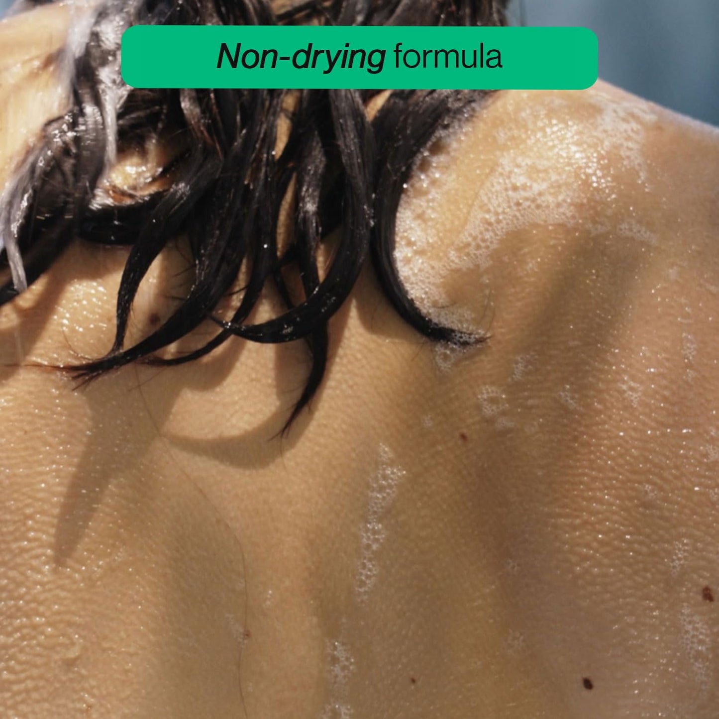 OffCourt Exfoliating Bar Soap – Whole Body, Deep Cleansing and Hydrating Soap for Men & Women - All Skin Types - Non-Drying Bar - Fig Leaves + White Musk & Coconut Water + Sandalwood (5oz, 2 Pack)