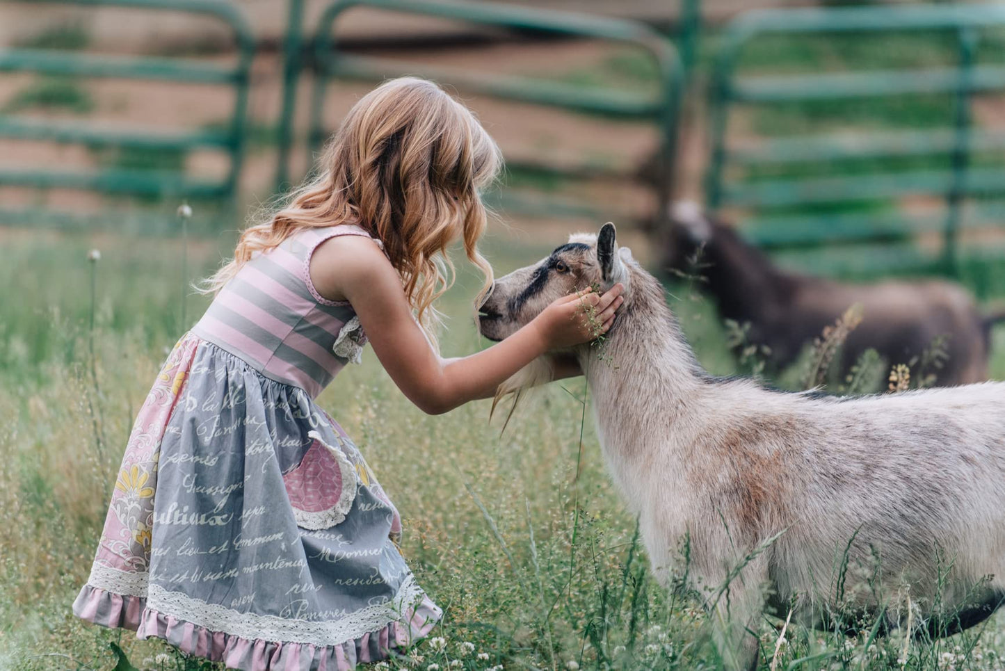 Caprina by Canus Legendary Bubble Bath With Fresh Canadian Goat Milk Gentle Soap Moisturizing Vitamin A, B2, B3 More, Shea Butter, 27.1 Fl Oz