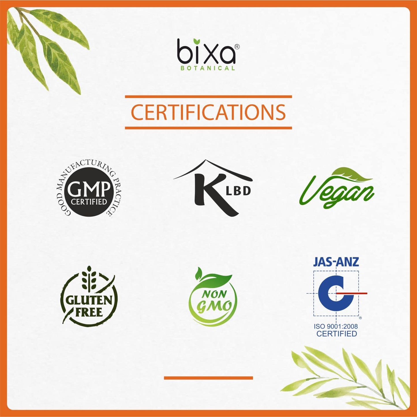 bixa BOTANICAL Ayurvedic Natural Herbal Supplement Gymnema Leaf Extract 25% Gymnemic Acid (Gudmar, Shardunika) | Digestive Stimulant | Natural Herbal Supplement (35.2 Ounce (Pack of 1))