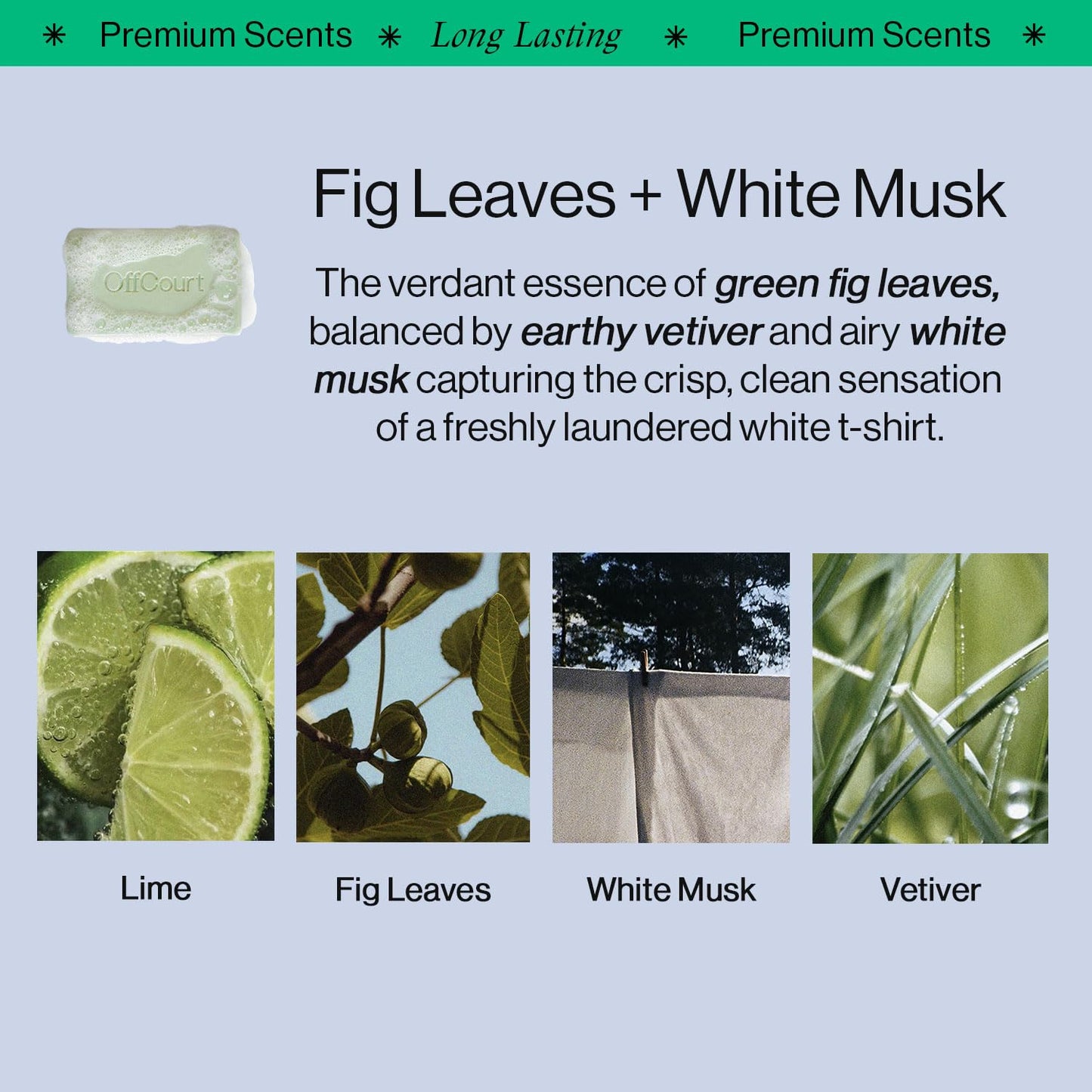 OffCourt Exfoliating Bar Soap – Whole Body, Deep Cleansing and Hydrating Soap for Men & Women - All Skin Types - Non-Drying Bar - Fig Leaves + White Musk & Coconut Water + Sandalwood (5oz, 2 Pack)