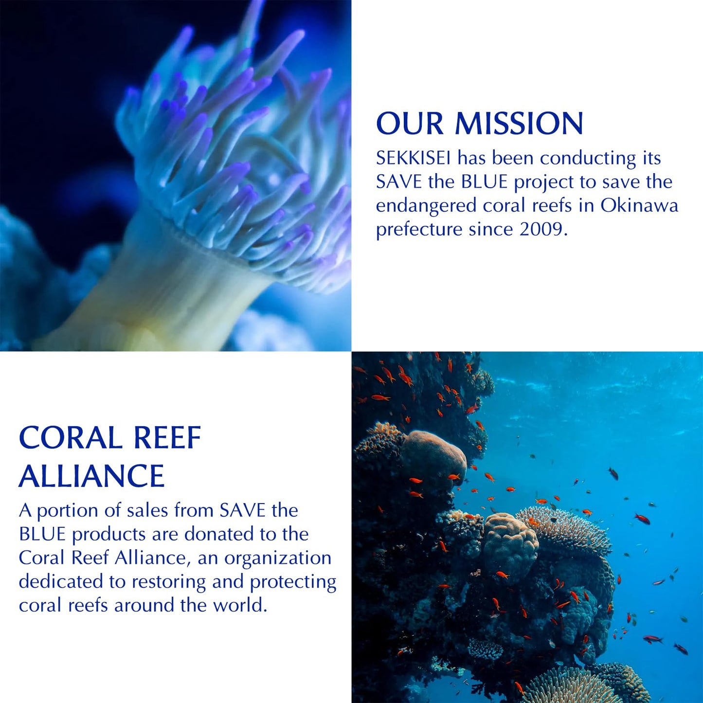 SEKKISEI Glass Skin Duo Bundle: Treatment Cleansing Oil (10.1oz) & Herbal Gel (2.8 oz)