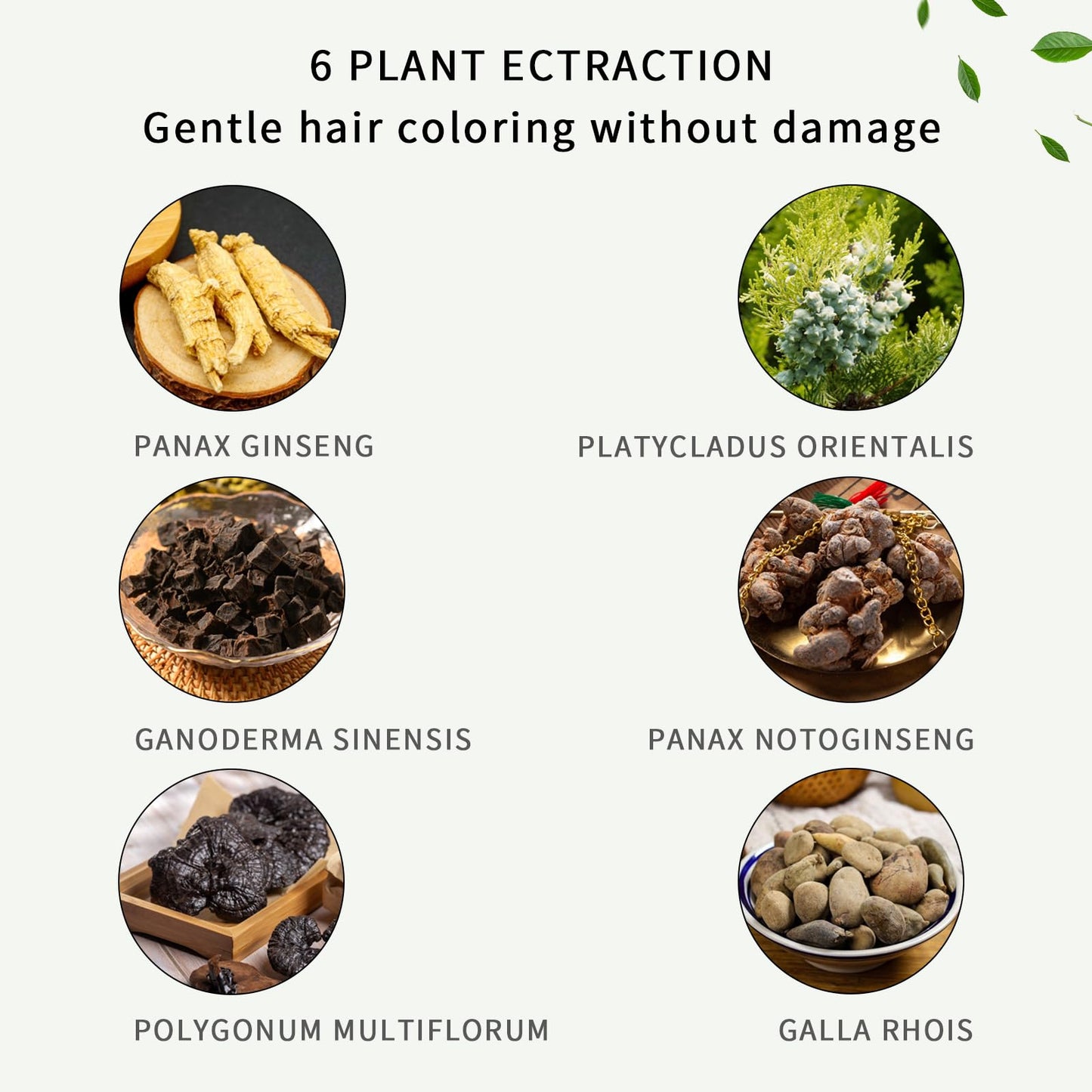 Newvenper Black Hair Comb Dye Shampoo For Gray Hair and Beard Coverage,Instant Dye and Long-lasting Hair Color Shampoo in Minutes Travelling Outfit,For Women Men Easy Comb Dyeing 200ML