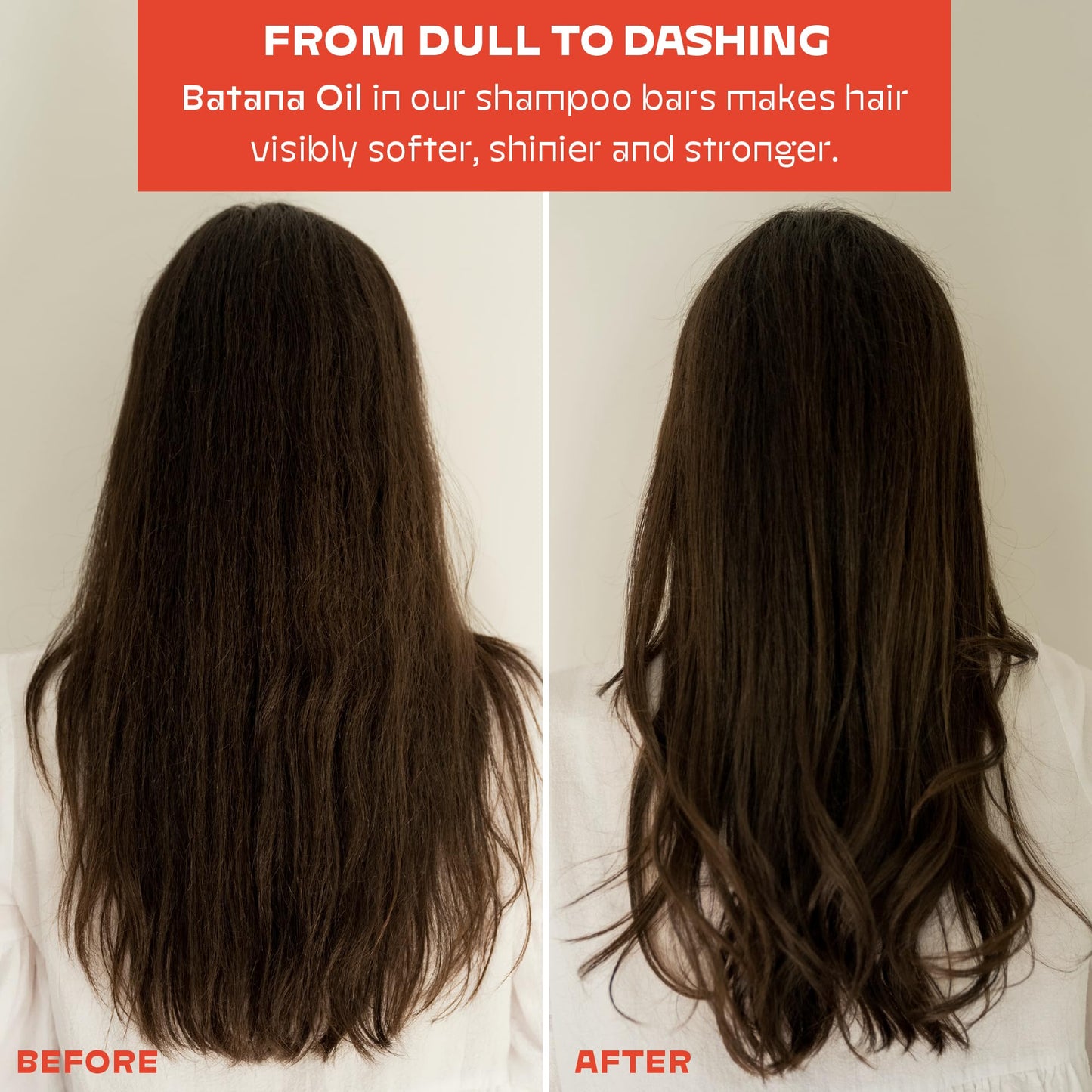 NOLE Shampoo and Conditioner Bar Set, Plastic Free, Travel Size, Color Safe, Eco Friendly, Solid Sustainable Bars, Zero Waste, Discovery Set, 2.5 onz (Mini Haircare Fiesta Set)