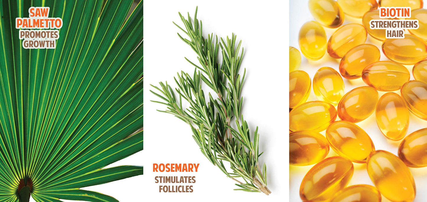 Organic Hair Energizer Pro Vitamin-B5 Hair Growth Booster, 6 fl oz (Pack of 4) DHT-Blocker, Sulfate-Free & Paraben-Free - for Thinning & Receding Hair - Color Safe for Men, Women & Teens