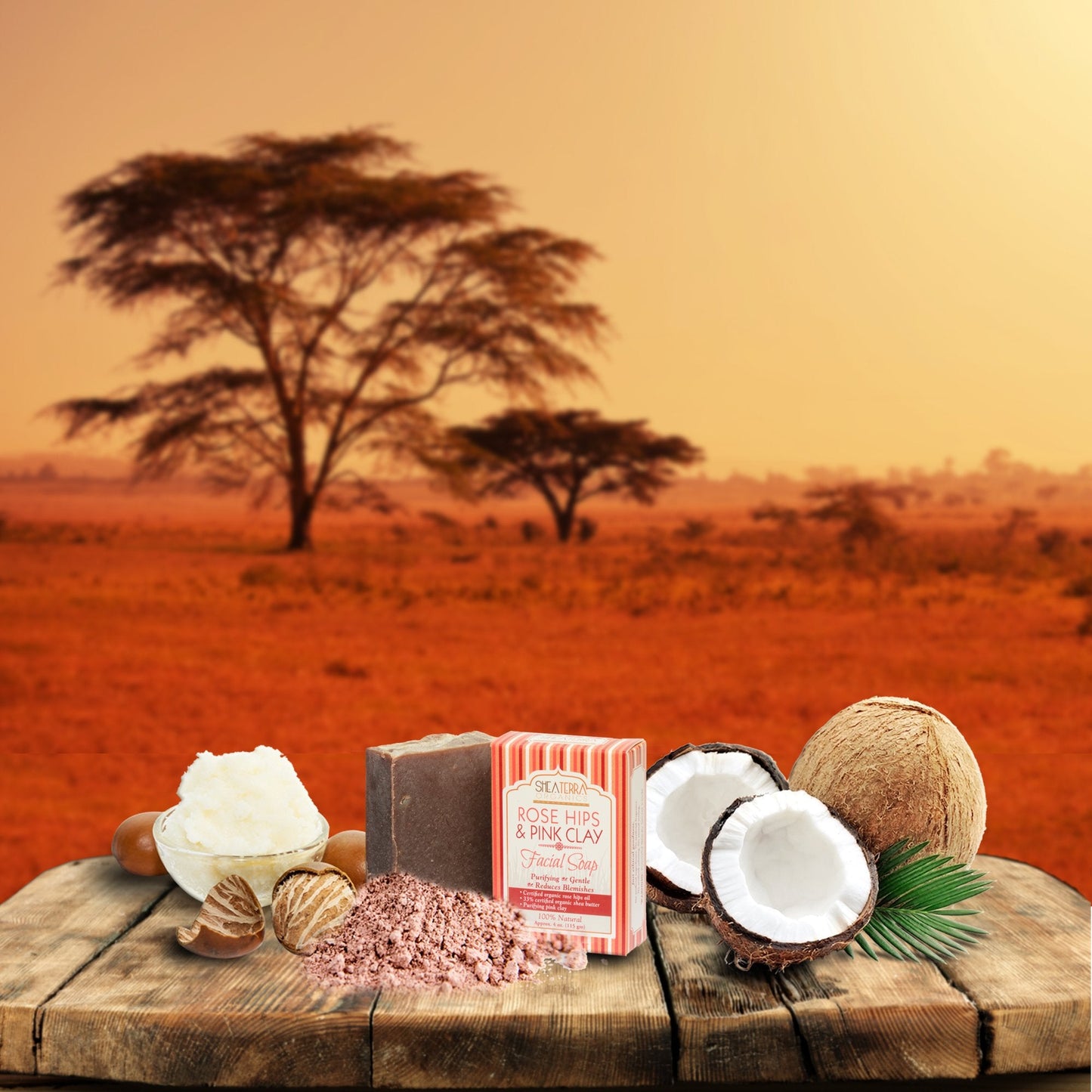 Shea Terra Organics Rose Hips & Pink Clay Facial Cleansing Soap | Anti-Aging, Anti-Acne Wonder Soap | All Skin Types - 4 oz