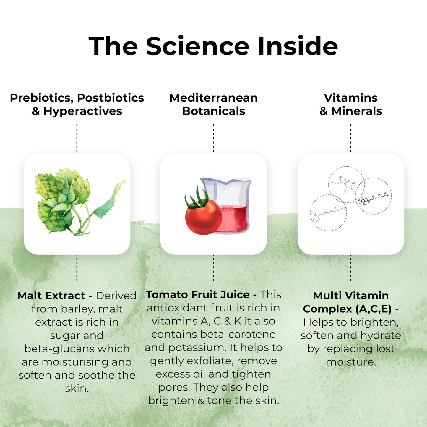 TEMPLESPA | MOISTURE TO GO | Balancing Moisturizer for Combination Skin, Vitamins, Absorbs Excess Oil, Rehydrates Dry Patches, Natural Ingredients, Cruelty-Free, Vegetarian, 1.6 fl.oz.