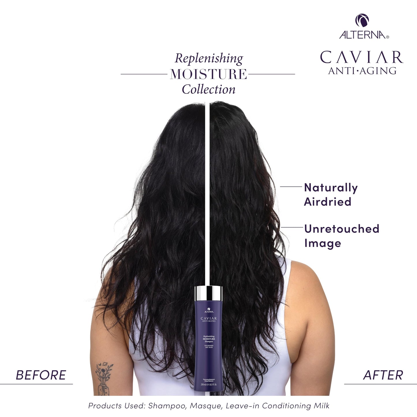 Alterna Haircare CAVIAR Anti Aging Replenishing Moisture Shampoo, 8.5 Fl Oz (Pack of 1)
