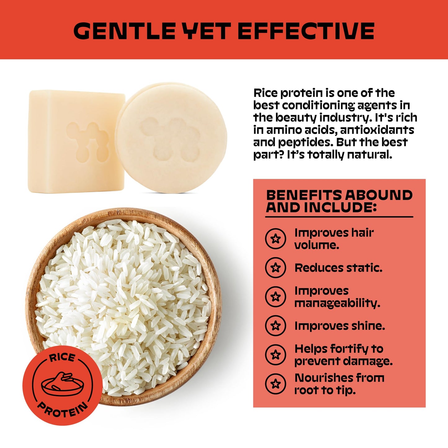 NOLE Shampoo and Conditioner Bar Set, Plastic Free, Travel Size, Color Safe, Eco Friendly, Solid Sustainable Bars, Zero Waste, Discovery Set, 2.5 onz (Mini Haircare Fiesta Set)