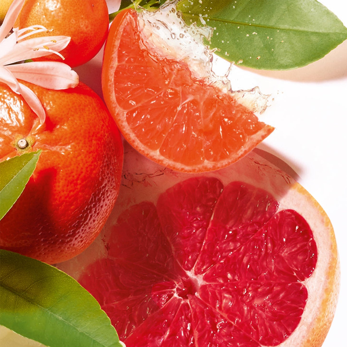 ROGER & GALLET | Body Wash & Body Soap for Women | Jean Marie Farina 3 x 3.5 oz