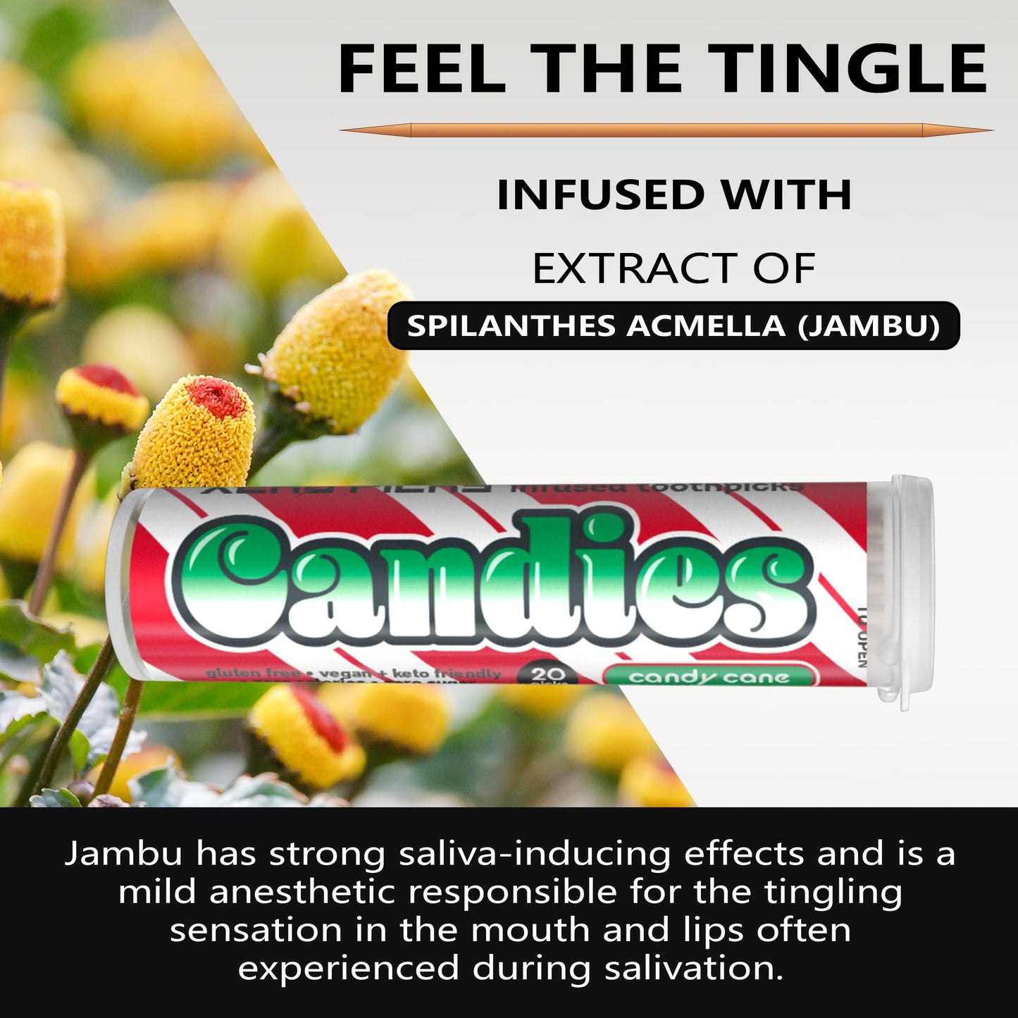 Xero Picks Candies Infused Flavored Toothpicks for Long Lasting Fresh Breath & Dry Mouth Prevention - 60 Picks - 3 Pack - Limited Edition Candy Cane