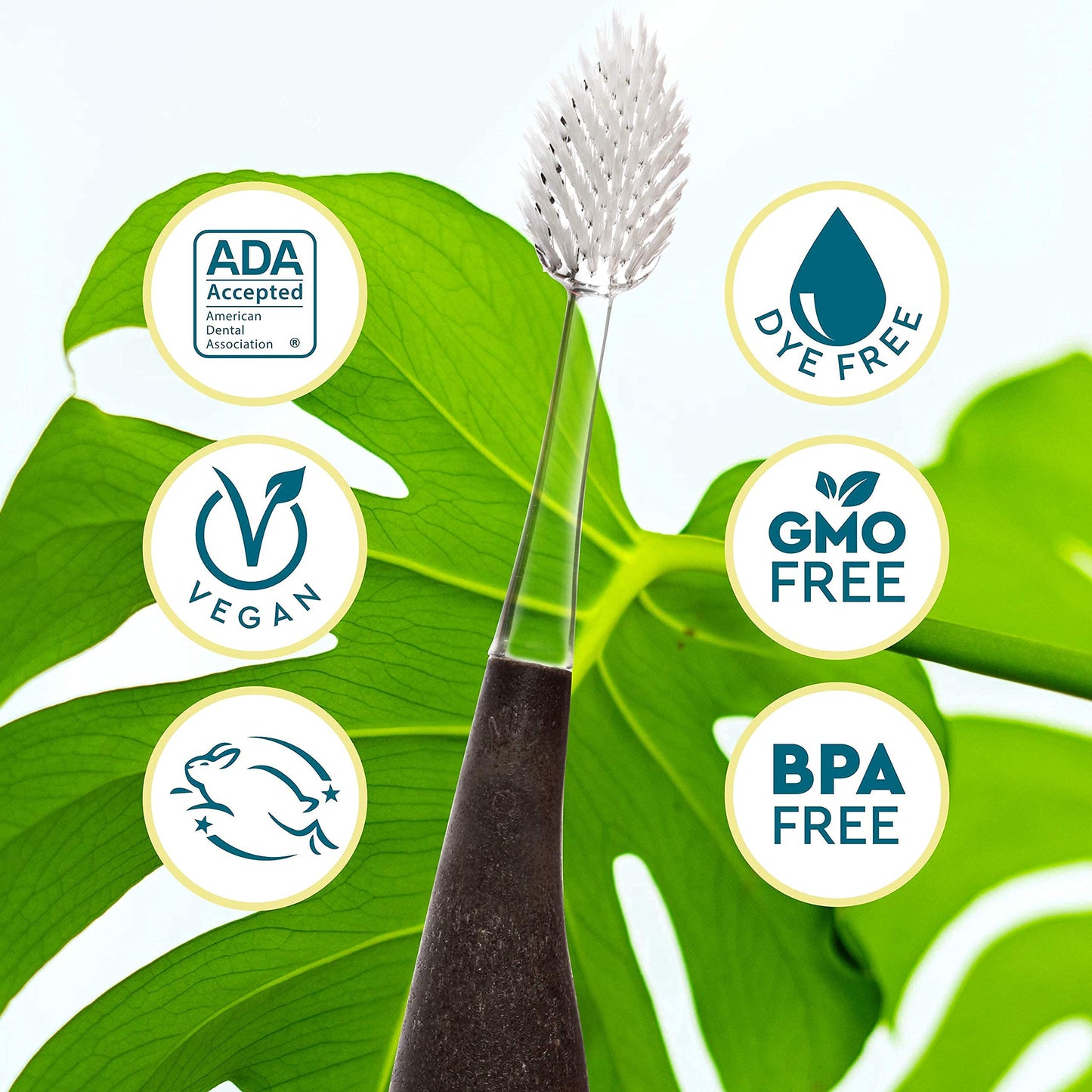 RADIUS Toothbrush Source Floss Brush BPA Free & ADA Accepted Improve Gum Health & Reduce Gum Issues - Medium - Assorted Colors - Pack of 6