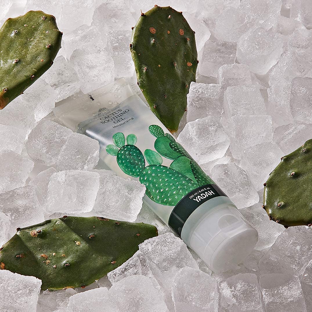YADAH Cactus Soothing Gel (8.45fl oz) - Sunburn Relief, Calm, Cool & Soothe Irritated Skin, Face Redness. Korean Skin Care. 95% Cactus Extract, Vegan.