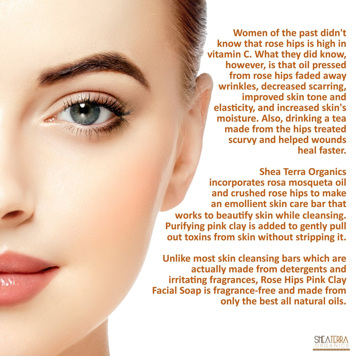 Shea Terra Organics Rose Hips & Pink Clay Facial Cleansing Soap | Anti-Aging, Anti-Acne Wonder Soap | All Skin Types - 4 oz