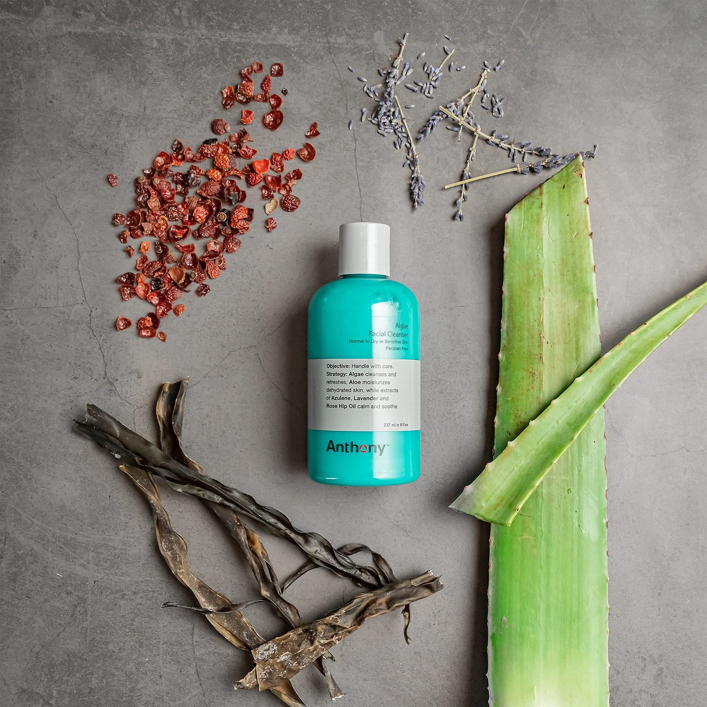 Anthony Day Cream SPF 30, 3 Fl Oz Algae Facial Cleanser, 8 Fl Oz.