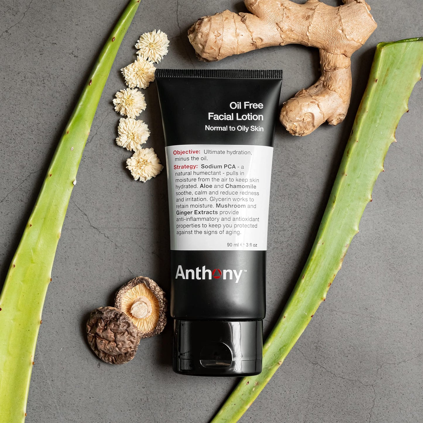 Anthony Oil Control Duo, Instant Fix Oil Control and Oil Free Facial Lotion for Men